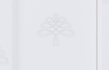 Anchester Series White Shaker Sample Wood Swatch