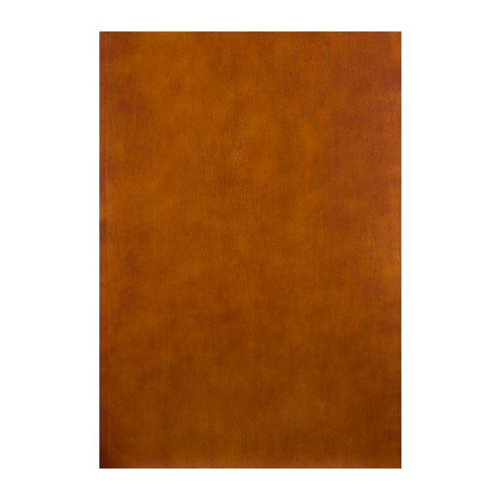 Cambridge Chestnut Finish Cabinet Dishwasher Panel