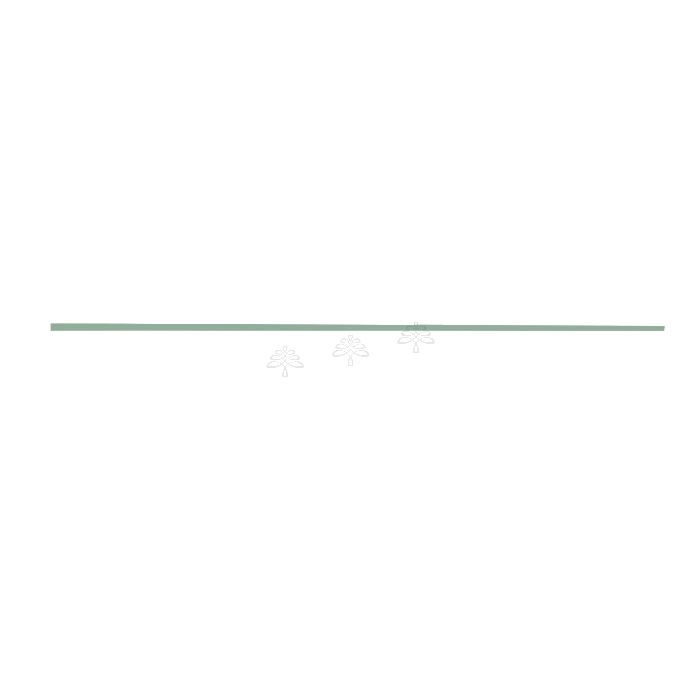 Urban Slim Minty Green Shaker Painted Quarter Round