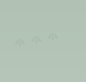 Urban Slim Minty Green Shaker Painted Sample Wood Swatch